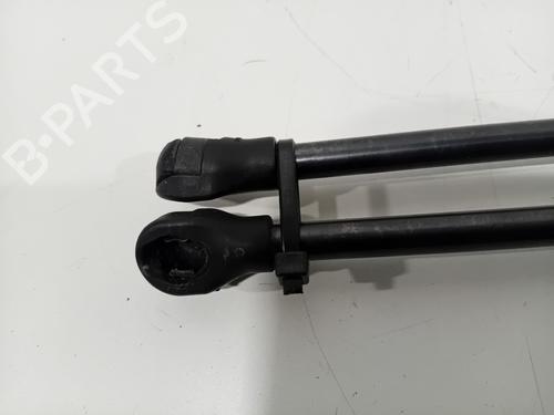 Tailgate lift support VOLVO S60 III (224) T5 | BP29918433C138 