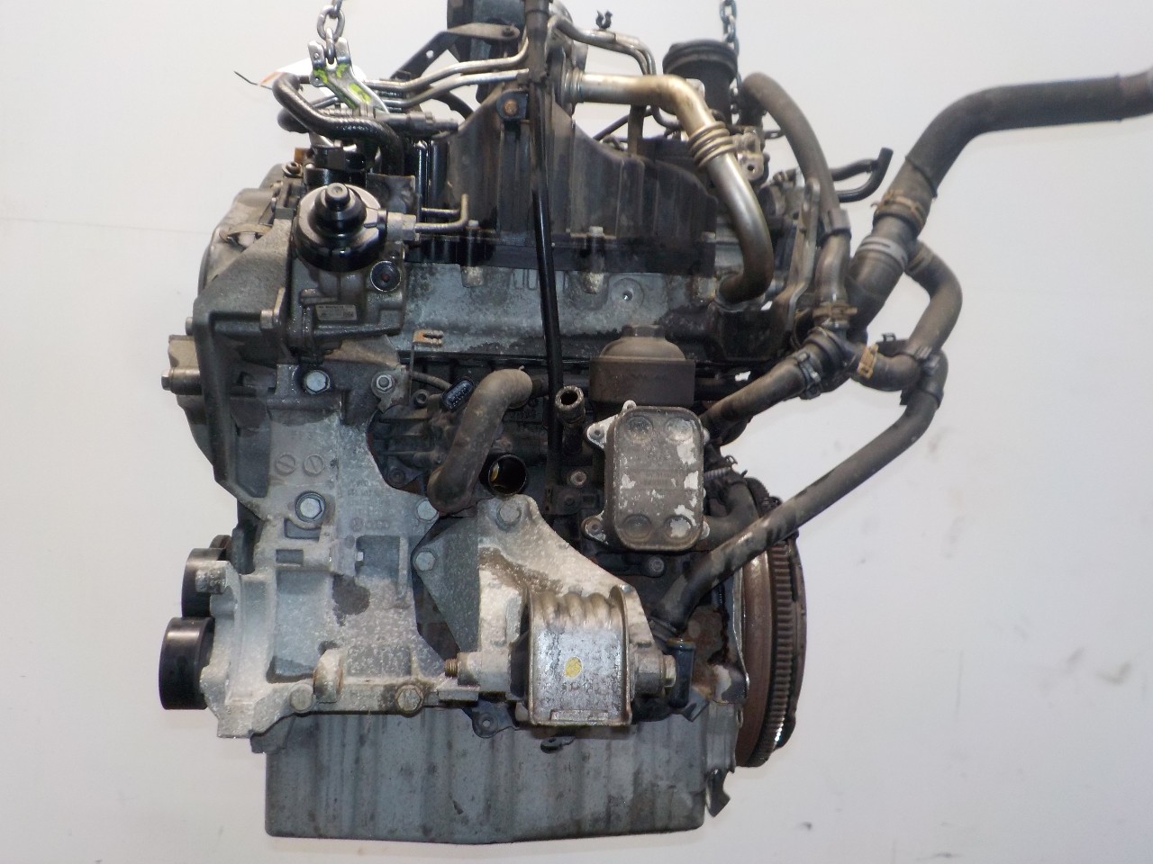 Sha Engine Engine VW TRANSPORTER T6 Van (SGA, SGH, SHA, SHH) 2.0 TDI 12140001 | B ...