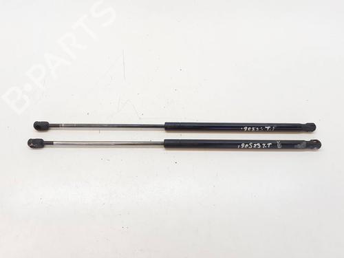 Gasdæmper bagklap FORD FOCUS C-MAX (DM2) [2003-2007]  14035325