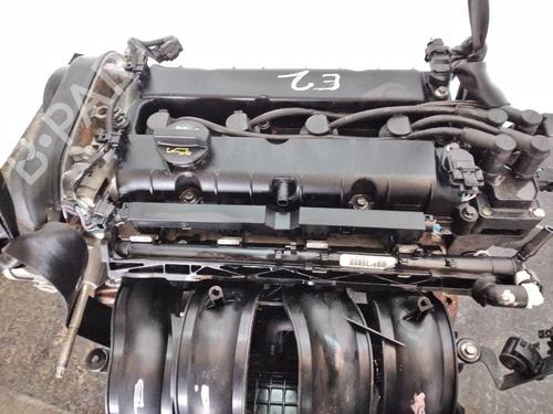 Engine FORD FIESTA VI (CB1, CCN)  | BP24404239M1  - Image 5