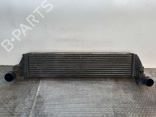 Used Intercooler RENAULT LAGUNA II (BG0/1_) 2.2 dCi (140 hp) 5883797