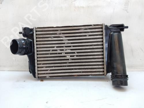Used Intercooler Intercooler RENAULT MEGANE IV Hatchback (B9A/M/N_) [2015-2026] 25735160 25735160