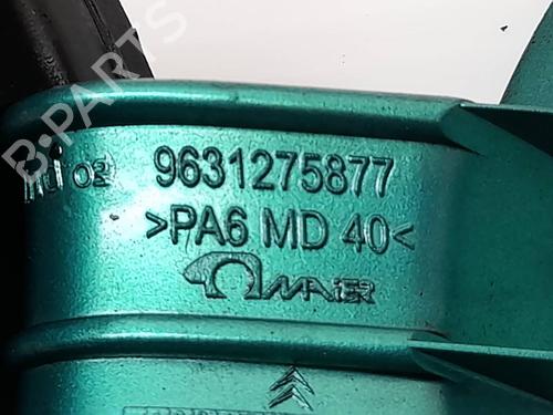 Fuel flap CITROËN XSARA PICASSO (N68) 2.0 HDi | BP19935848C131 