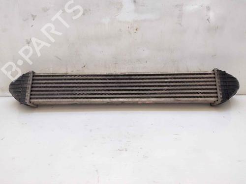 Intercooler MERCEDES-BENZ A-CLASS (W169) A 180 CDI (169.007, 169.307) | BP25985116M30 
