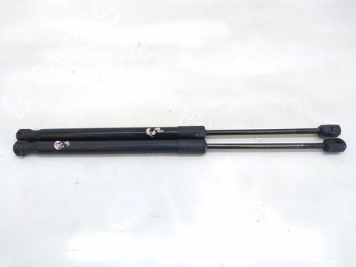 Used Tailgate lift support RENAULT MEGANE III Hatchback (BZ0/1_, B3_) 1.5 dCi (BZ09, BZ0D, BZ1W, BZ29, BZ14) (110 hp) 19102270
