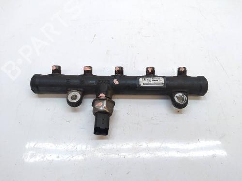 Injection rail FORD FOCUS C-MAX (DM2) 2.0 TDCi (136 hp) 13950897