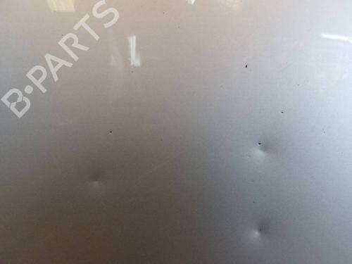 Hood JAGUAR S-TYPE II (X200) 3.0 V6 | BP116794C1 