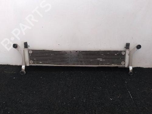 Køler VW TOUAREG (7LA, 7L6, 7L7) 5.0 V10 TDI | BP10641224M31 