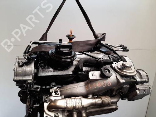 Engine VW GOLF V (1K1)  | BP7968044M1  - Image 6