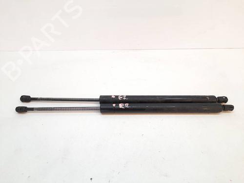 Used Tailgate lift support VW SHARAN (7M8, 7M9, 7M6) 1.9 TDI (110 hp) 14032017