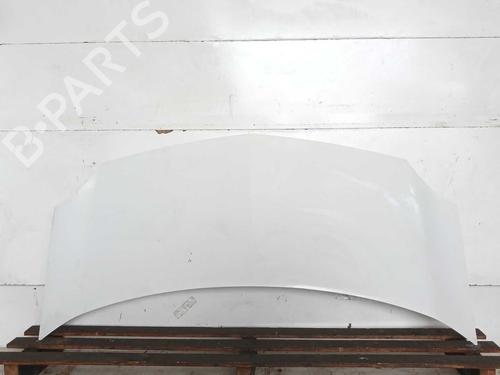 Used Hood Hood RENAULT KANGOO Express (FW0/1_) [2008-2026] 39987547 39987547