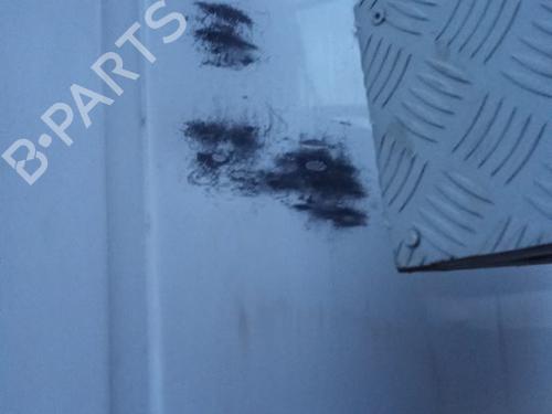 Porta posteriore destra MERCEDES-BENZ SPRINTER 4-t Platform/Chassis (B904) 413 CDI (129 hp) 31914859