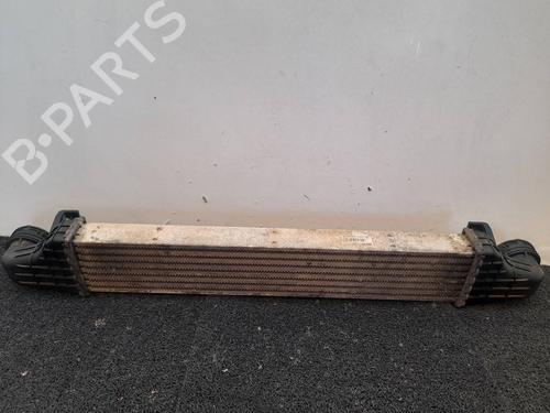 Intercooler MERCEDES-BENZ E-CLASS (W211) E 220 CDI (211.006) | BP9837808M30 