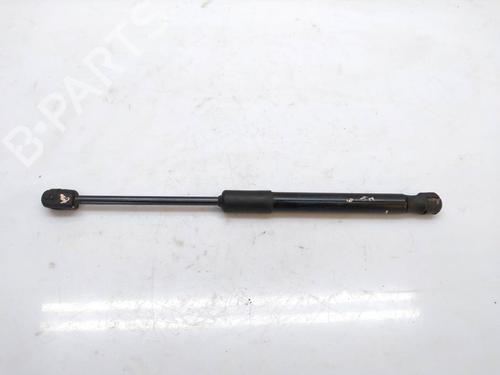 Tailgate lift support AUDI A6 Allroad C7 (4GH, 4GJ) 3.0 TDI quattro BP14045057C138