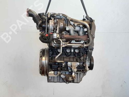 Used Engine Engine RENAULT MEGANE II (BM0/1_, CM0/1_) [2001-2012] 30659233 30659233