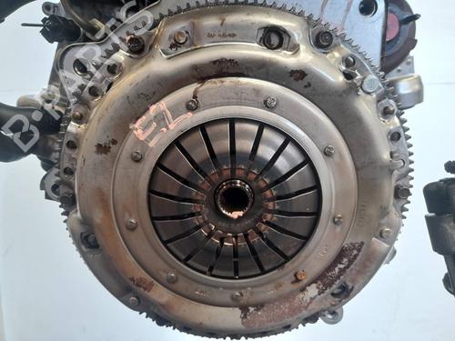 Engine SEAT IBIZA III (6L1)  | BP10551853M1 