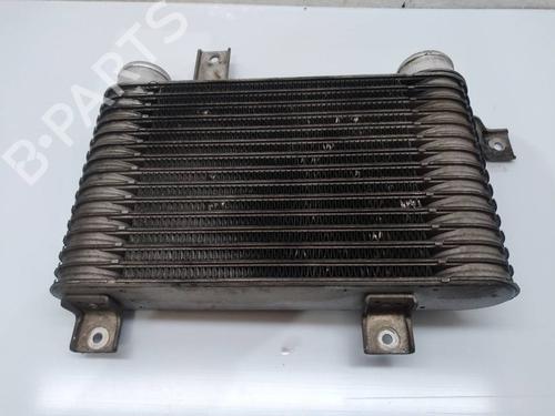 Intercooler SSANGYONG REXTON / REXTON II (GAB_) | BP4664247M30 - Image 1
