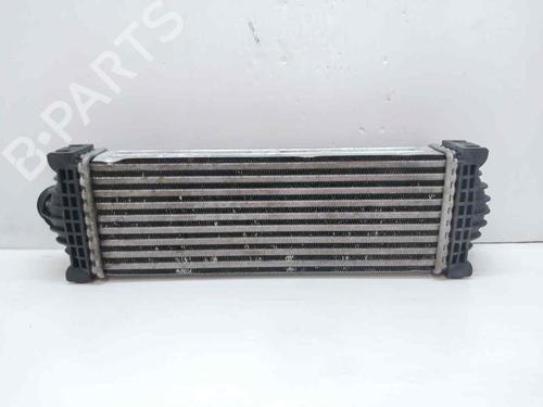 Intercooler FORD TRANSIT Bus (FD_ _, FB_ _, FS_ _, FZ_ _, FC_ _) | BP32497062M30