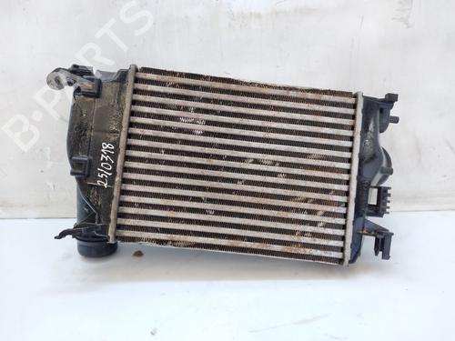 Intercooler RENAULT MEGANE IV Hatchback (B9A/M/N_) | BP25735160M30 - Image 2