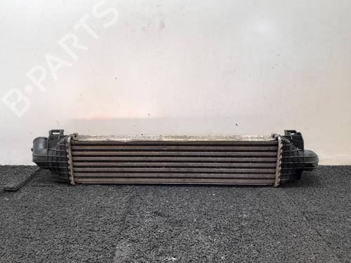 Intercooler FORD FOCUS II (DA_, HCP, DP) | BP9157781M30 - Image 2