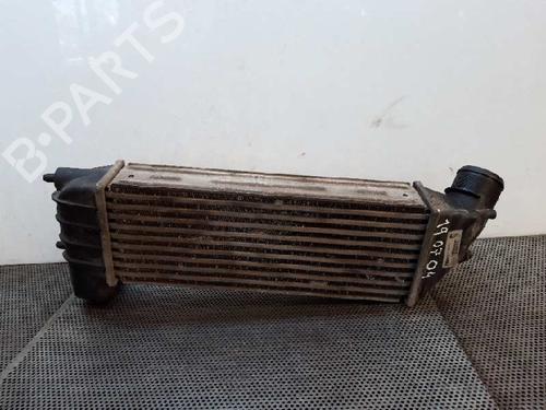 BP4437253M30 | Intercooler FIAT ULYSSE (179_) 2.2 JTD BP4437253M30