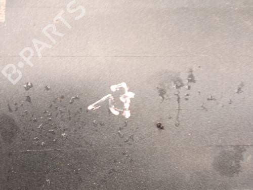 Komplette front TESLA MODEL Y (5YJY) | BP29532446S1 - Image 21