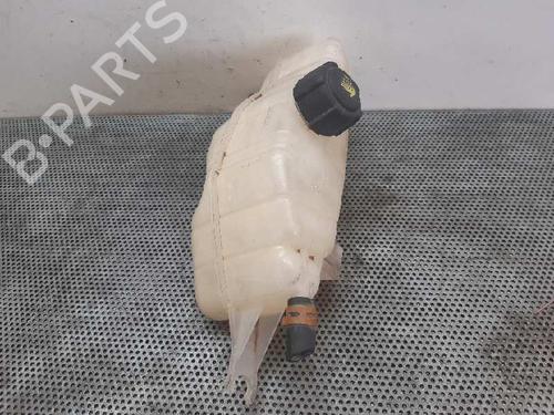 Expansion tank RENAULT CLIO III (BR0/1, CR0/1) 1.2 16V (BR0R, BR1D, BR1L, CR0R) | BP4416970C120 