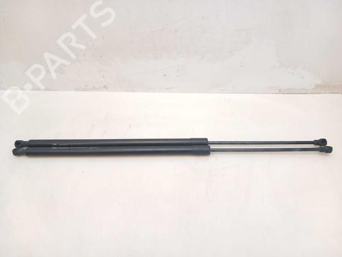 Used Tailgate lift support Tailgate lift support RENAULT GRAND SCÉNIC III (JZ0/1_) 1.9 dCi (JZ0J, JZ0N, JZ1K, JZ1S) (131 hp) 38559718 38559718