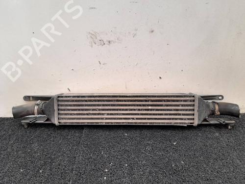 Used Intercooler Intercooler FIAT PUNTO EVO (199_) [2008-2026] 4468419 4468419