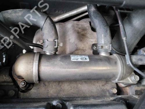 Used Egr KIA CARNIVAL / GRAND CARNIVAL III (VQ) 2.9 CRDi (185 hp) 20122848