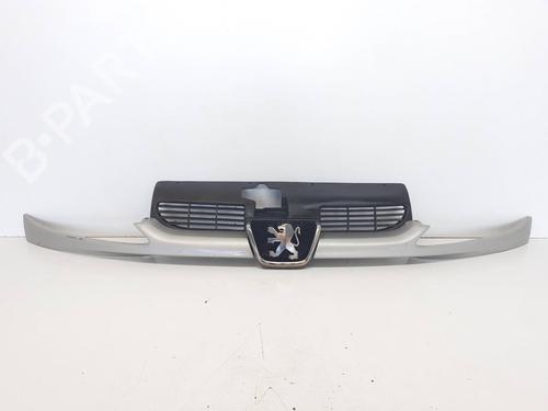 Grill PEUGEOT 206 Hatchback (2A/C) 1.4 16V (88 hp) 32410380