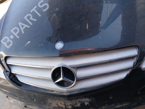 grill-mercedes-benz-r-class-w251-v251-2005-2006-2007-2008-2009-2010-2011-2012-2013-2014-2015-2016-2017-34645915 main image