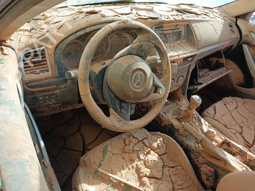 - Image 7