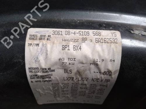Engine control unit (ECU) AUDI A3 (8P1) 1.9 TDI | BP9111676M57 