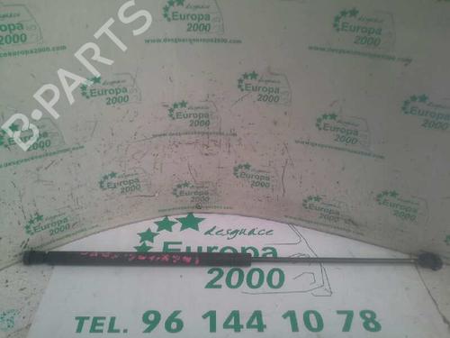 Used Hood lift support SEAT LEON (1M1) 1.9 TDI (110 hp) 14032307