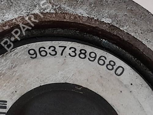 Steering pump CITROËN SAXO (S0, S1) 1.5 D | BP30436642M99 