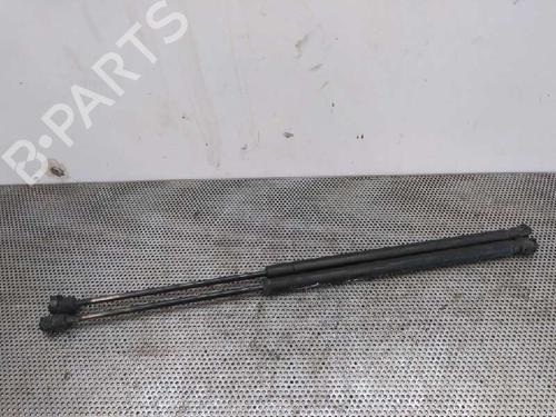 Used Tailgate lift support MAZDA 2 (DY) 1.4 (80 hp) 14033306