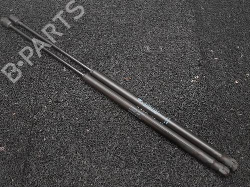 Used Tailgate lift support PEUGEOT 1007 (KM_) 1.4 HDi (68 hp) 14043336