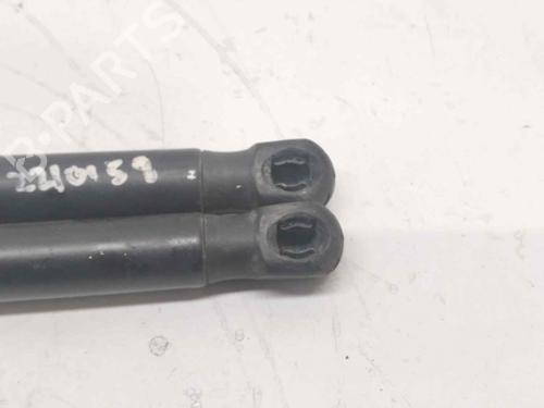 Tailgate lift support OPEL VECTRA C Estate (Z02) 1.9 CDTI (F35) | BP14041129C138 