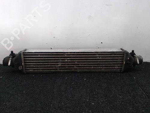 Intercooler FIAT BRAVO II (198_) 1.9 D Multijet (198AXC1B) (150 hp) 4558050