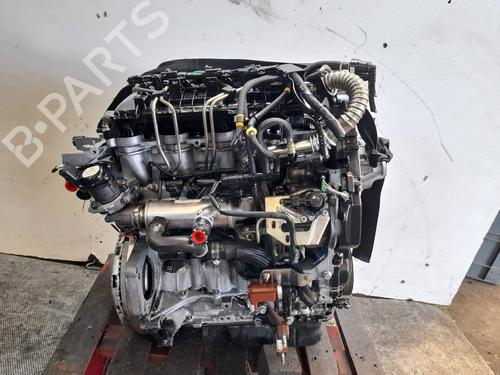 Engine FORD FOCUS C-MAX (DM2) | BP4432877M1 - Image 7