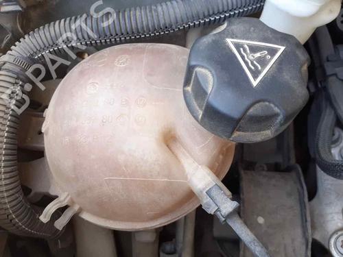 expansion-tank-citroen-c3-ii-sc_-2009-34120322 main image