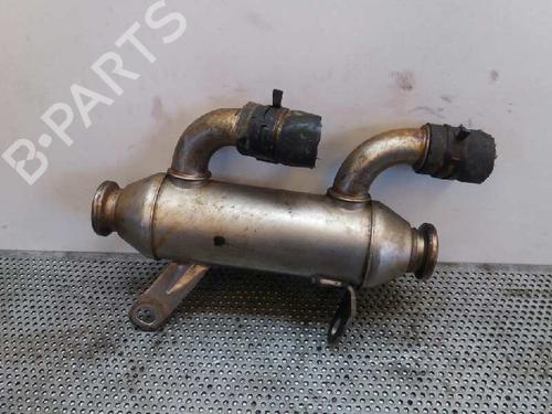 Egr LAND ROVER FREELANDER I (L314) 2.0 DI 4x4 | BP14036105M69 