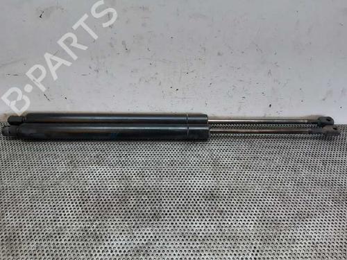 Tailgate lift support SEAT ALHAMBRA (7V8, 7V9) 1.9 TDI | BP14036026C138 