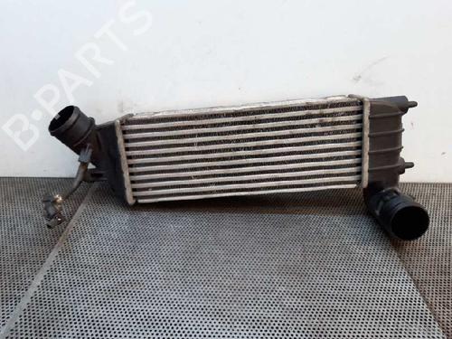 Intercooler Intercooler 4437253 4437253