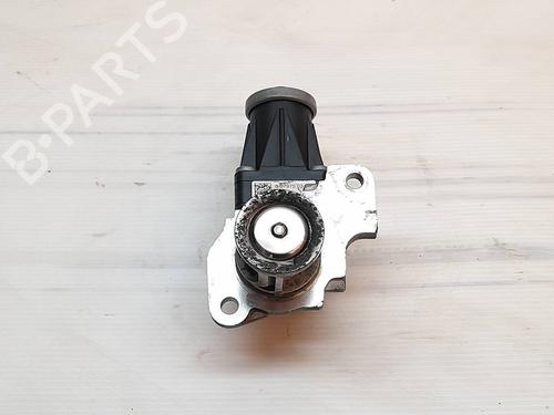 Egr RENAULT KANGOO BE BOP (KW0/1_) 1.5 dCi 75 | BP31166849M69 