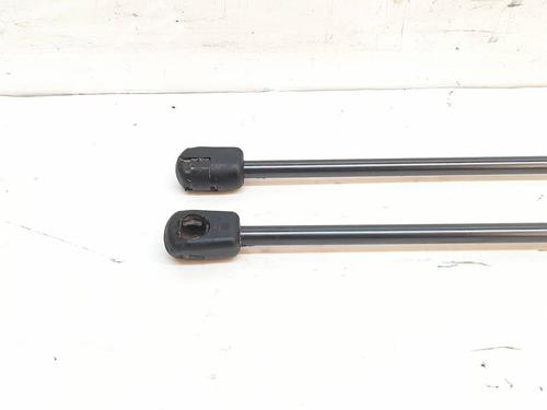Tailgate lift support AUDI A3 Sportback (8VA, 8VF)  | BP29213188C138 