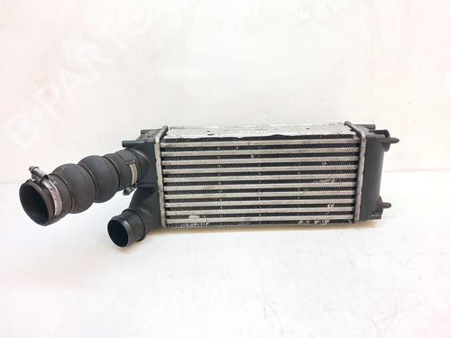 Intercooler Intercooler PEUGEOT 3008 I MPV (0U_) [2009-2017] 37461307 37461307
