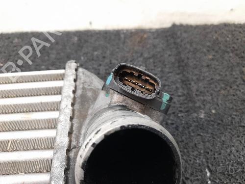 Intercooler HYUNDAI i20 I (PB, PBT) | BP11180117M30 - Image 2