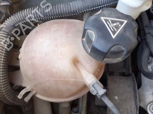 expansion-tank-citroen-c3-ii-sc_-2009-34120322 main image